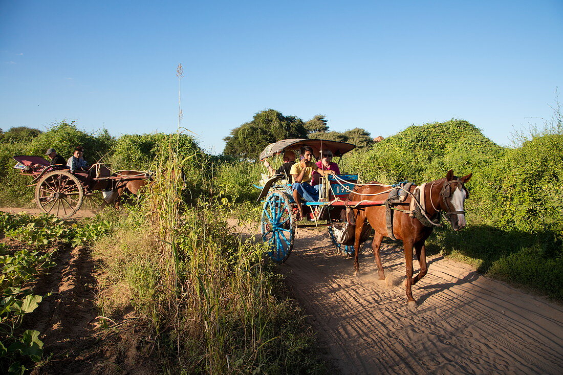 Horse-drawn carriage excursion through ancient temples of Bagan, Bagan, Mandalay, Myanmar