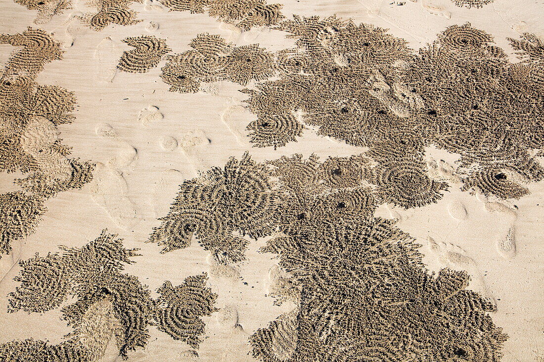 Pattern in sand on Ngapali Beach, Ngapali, Thandwe, Myanmar