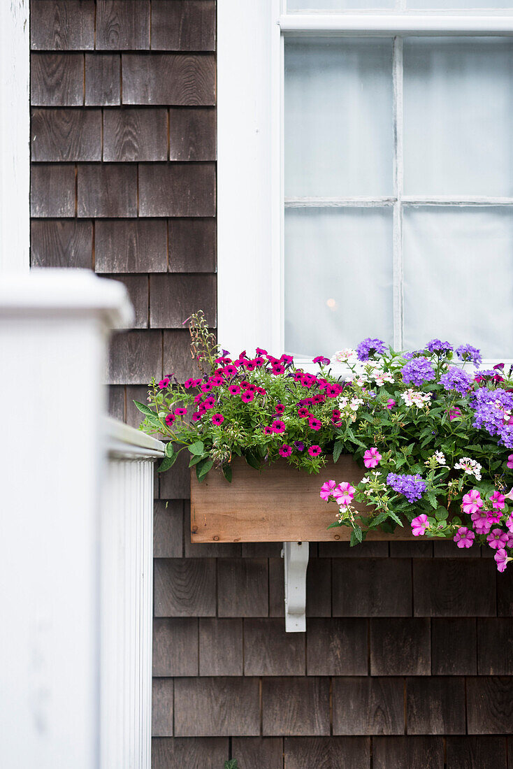 Außendetail des Hauses verziert mit Flowerbox bei Nantucket Town, USA