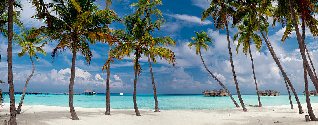 Panoramablick von Palmen Schatten auf Gili Lankanfushi Island, Malediven