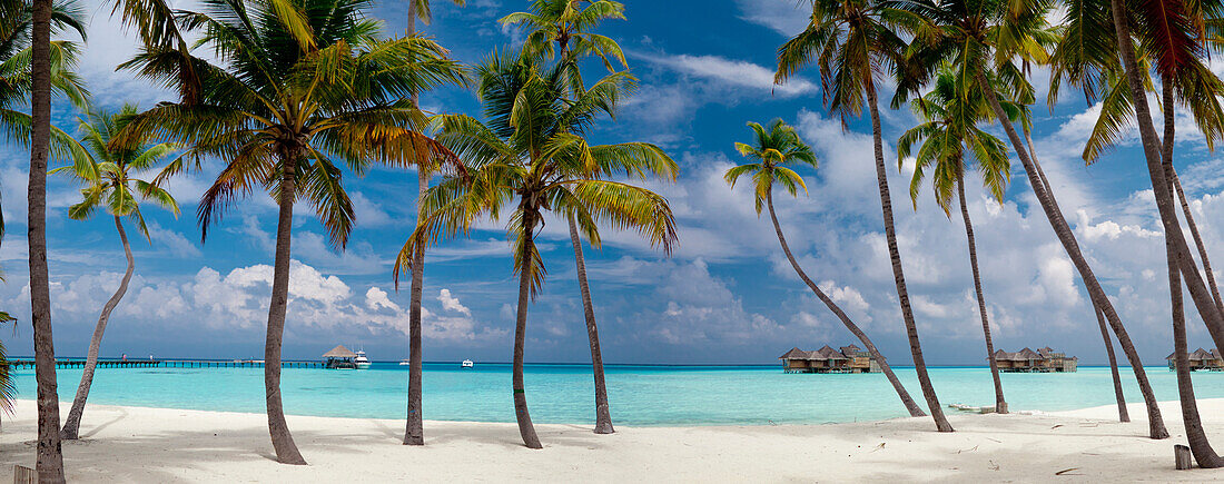 Panoramic view of palm shadows on Gili Lankanfushi Island, Maldives