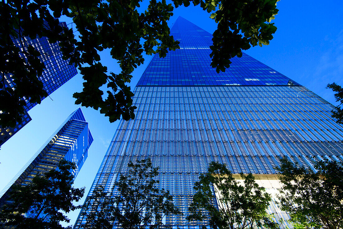 A World Trade, also known as Freedom Tower, rises above the tree line in Lower Manhattan. The skyscraper was designed by architects David Childs and Daniel Libeskind and developed by the Port Authority of New York and New Jersey.
