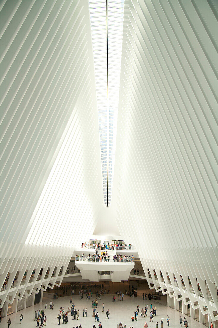 Interior view of people in the oculus