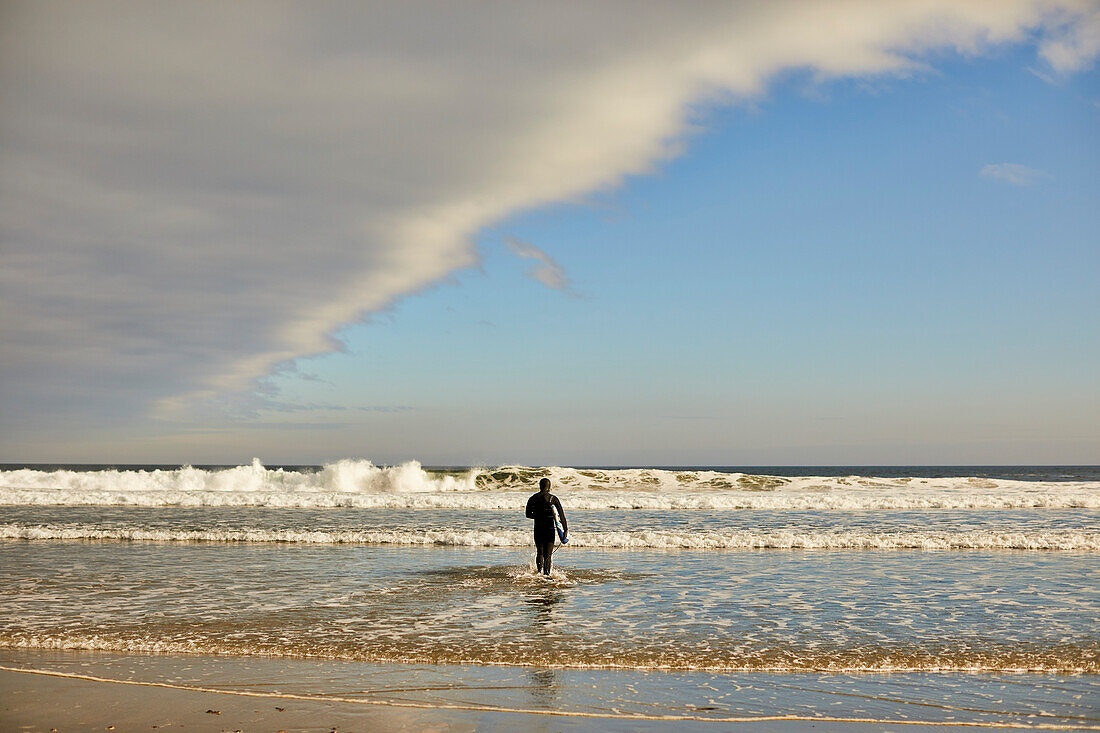 A surfer walking towards the sea at Good Harbor Beach in Gloucester, Ma