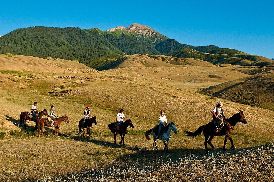 Zentralasien, Kirgisistan, Provinz Issyk Kul (Ysyk-Köl), Juuku-Tal, Reittour für das Trekking-Team Shepherd's Way