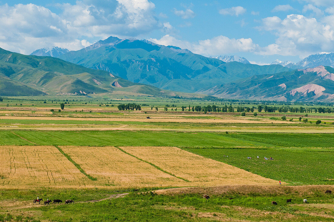 Central Asia, Kyrgyzstan, Chuy province, Burana Tower (11th), view from the archeological site