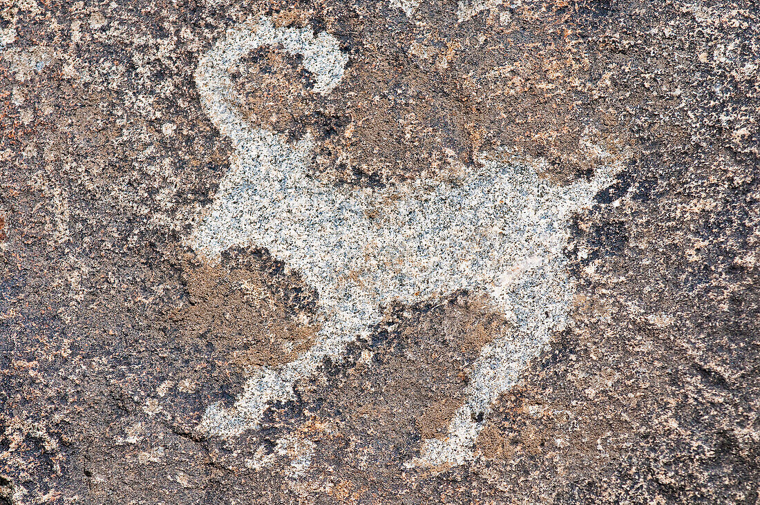 Central Asia, Kyrgyzstan, Issyk Kul Province (Ysyk-Köl), Issyk Kul Lake, Cholpon Ata, petroglyph depicting a hunting scene