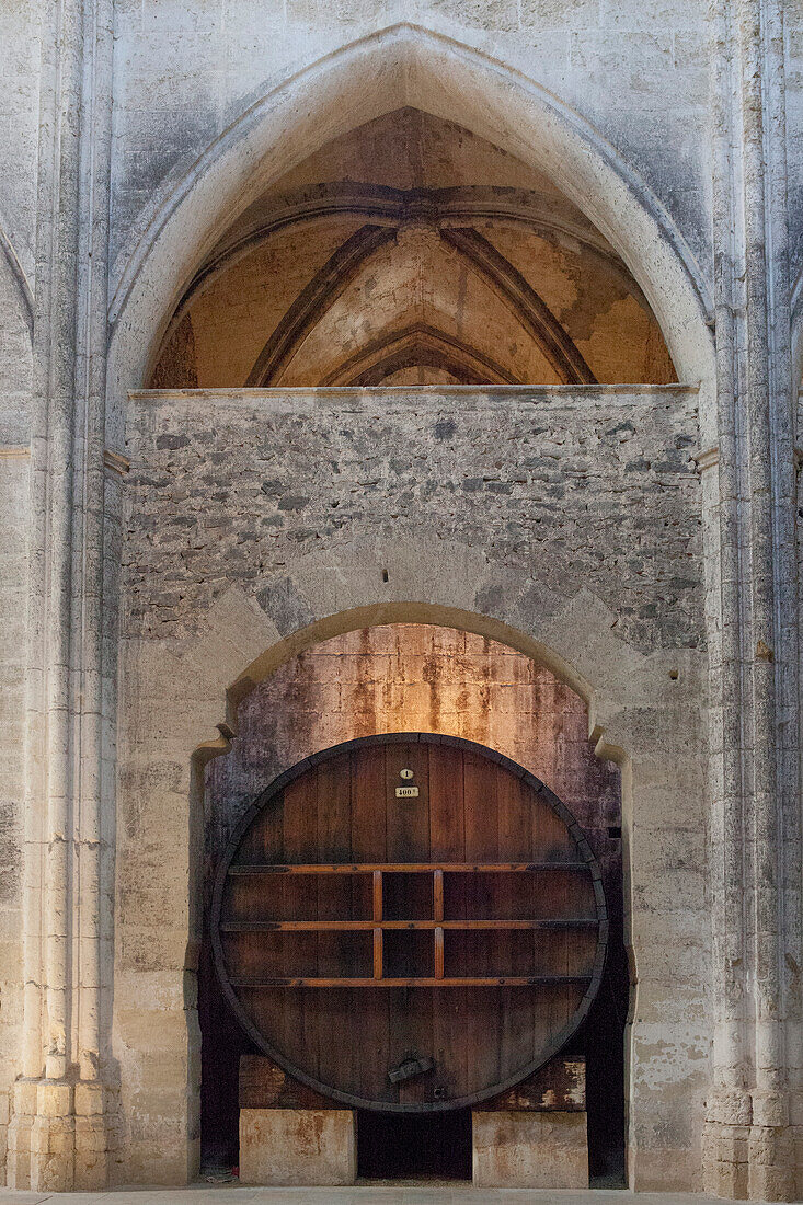 France, Southern France, Vileveyrac, Cistercian abbey of Holy Mary of Valmagne, 13th century, gothic style, nave nave turned into a wine storehouse after the Revolution