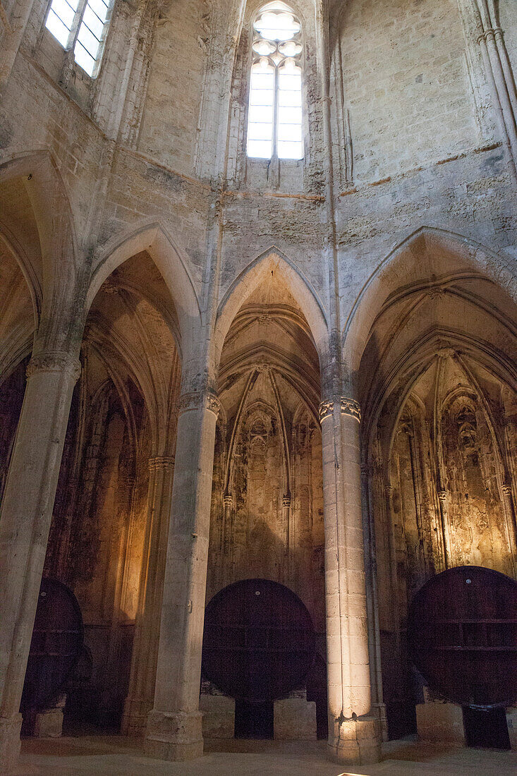 France, Southern France, Vileveyrac, Cistercian abbey of Holy Mary of Valmagne, 13th century, gothic style, nave turned into a wine storehouse after the Revolution