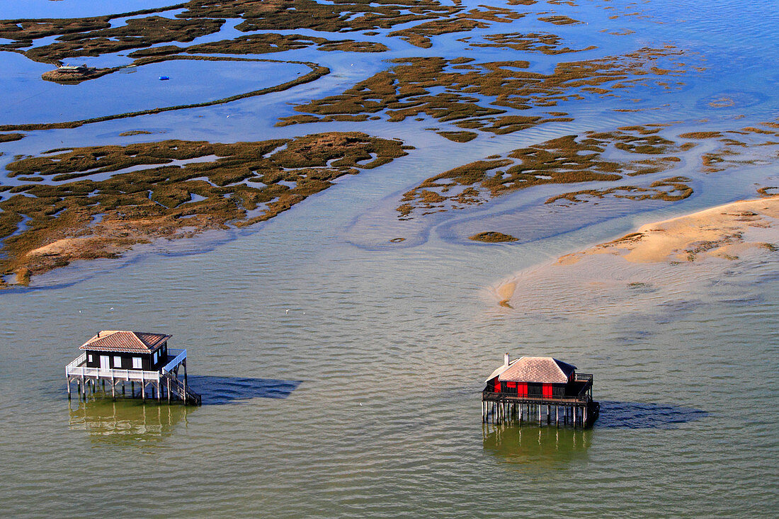 France, Gironde. Arcachon Bay. Bird Island. Cabin built on stilts.