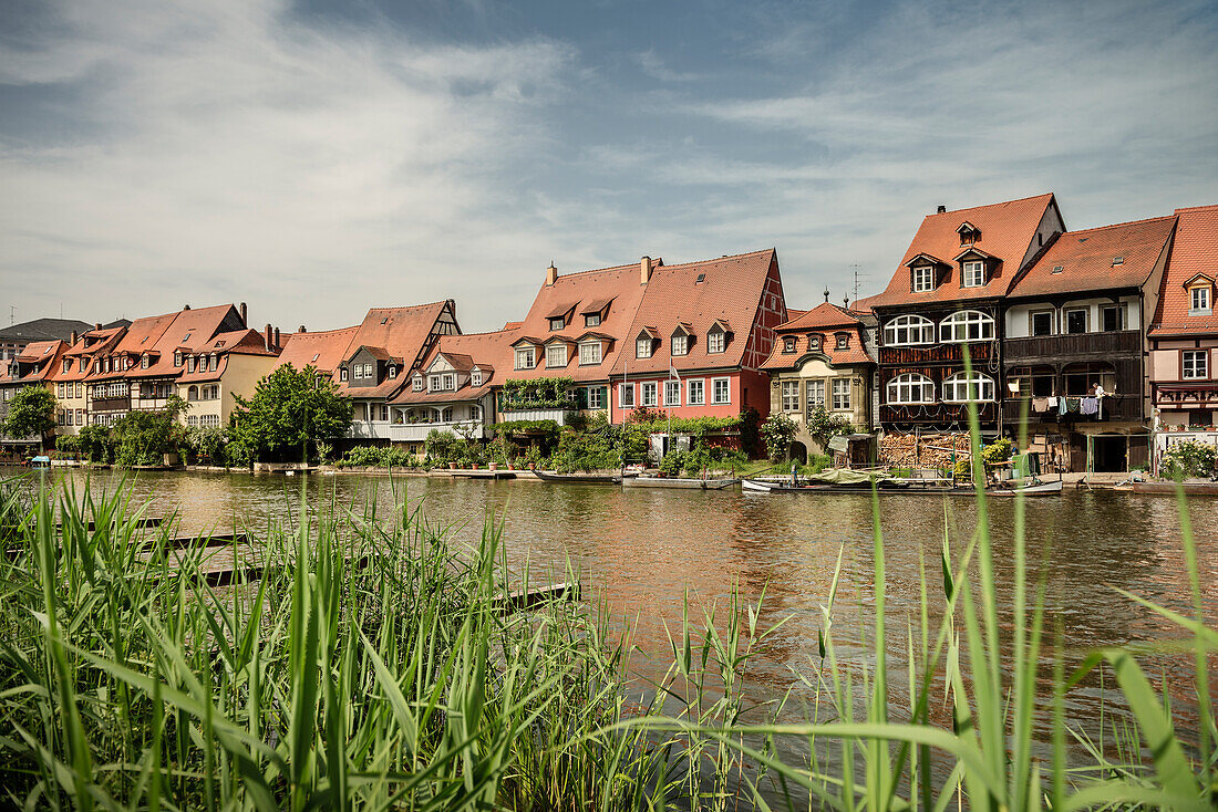 Blick auf Häuser von Klein Venedig an der Regnitz, Bamberg, Region Franken, Bayern, Deutschland, UNESCO Welterbe