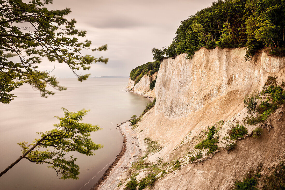 UNESCO World Heritage Old Beech Groves of Germany, Jasmund National Park, chalk cliffs of Ruegen Island, Mecklenburg-West Pomerania, Germany, Baltic Sea