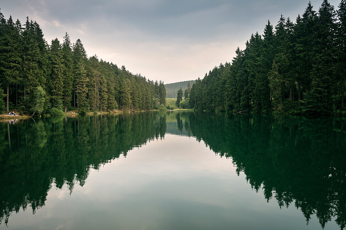 UNESCO Welterbe Harzer Wasserwirtschaft, Neuer Grumbacher Weg, Liebesbankweg, Harz bei Goslar, Niedersachsen, Deutschland