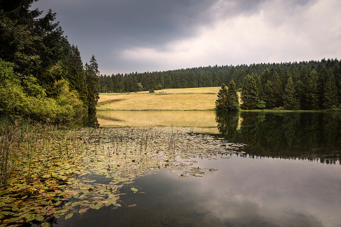 UNESCO World Heritage historic water supply and distribution for the Harz mountain area, Grumbachteich, Goslar, Lower Saxony, Germany