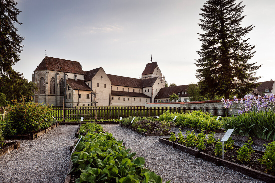 UNESCO Welterbe Klosterinsel Reichenau, Münster St. Maria und Markus mit Klostergarten, Mittelzell, Insel Reichenau im Bodensee, Baden-Württemberg, Deutschland