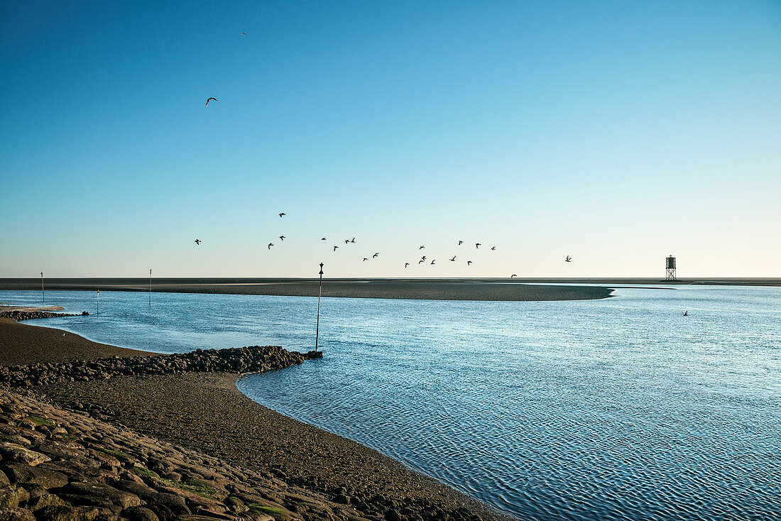 UNESCO Weltnaturerbe Wattenmeer, Insel Neuwerk, Bundesland Hamburg, Deutschland, Nordsee