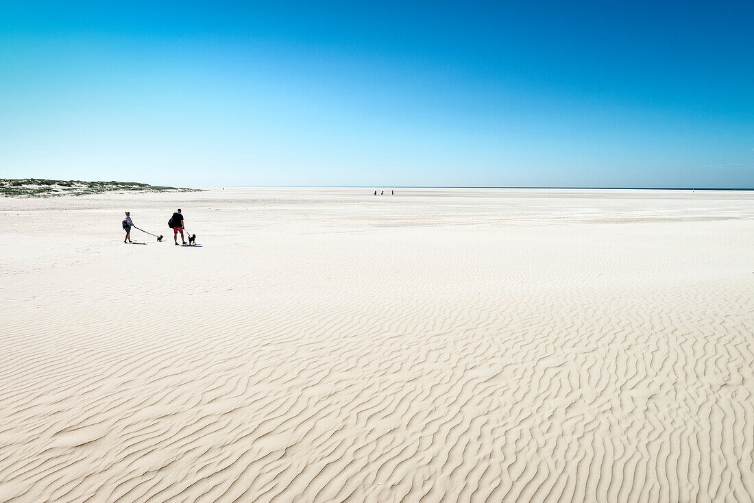 UNESCO Weltnaturerbe Wattenmeer, Spaziergänger am schier endlosen Strand von Sankt Peter-Ording, Schleswig-Holstein, Deutschland, Nordsee