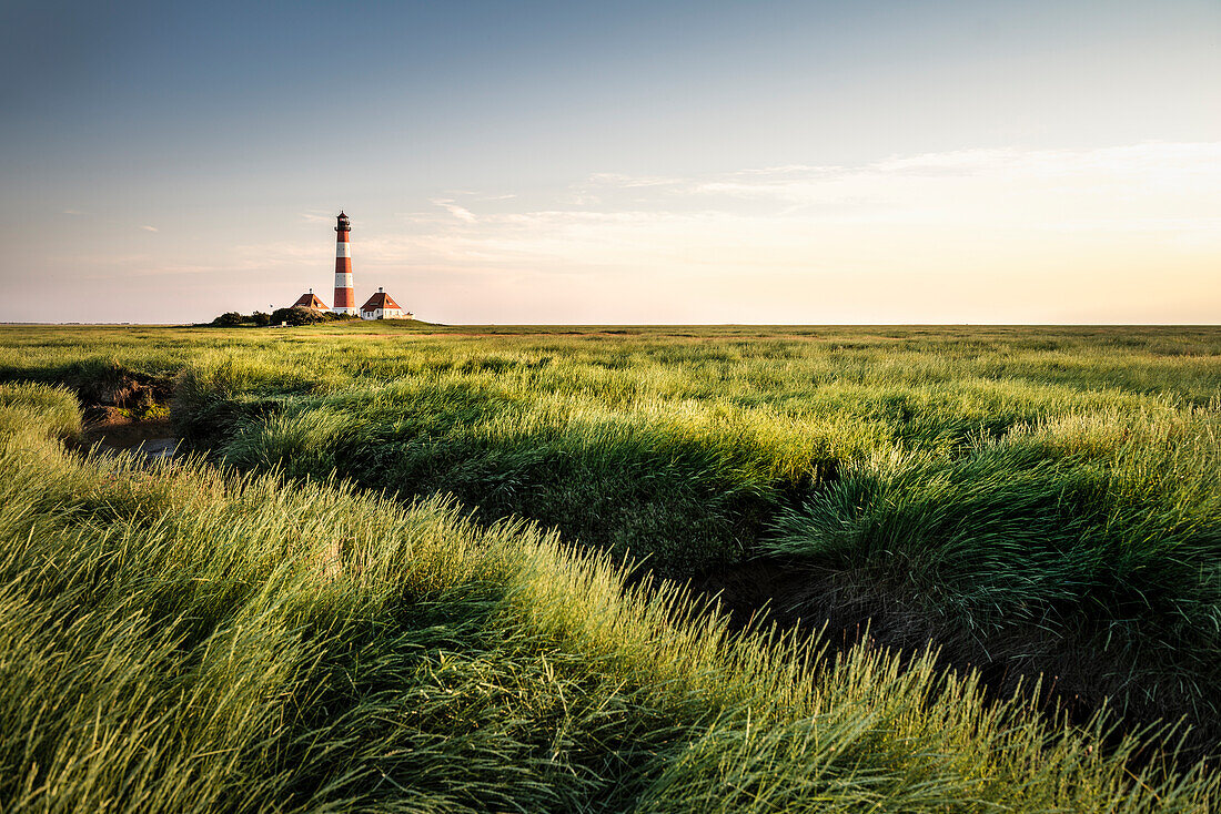 UNESCO Weltnaturerbe Wattenmeer, Leuchtturm Westerheversand umgeben von Salzwiesen, Westerhever, Schleswig-Holstein, Deutschland, Nordsee