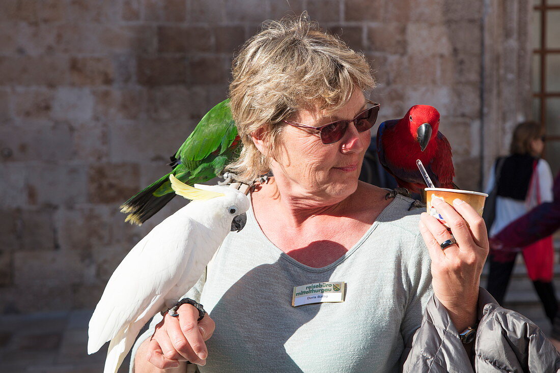 Woman holds parrots in Dubrovnik Old Town, Dubrovnik, Dubrovnik-Neretva, Croatia