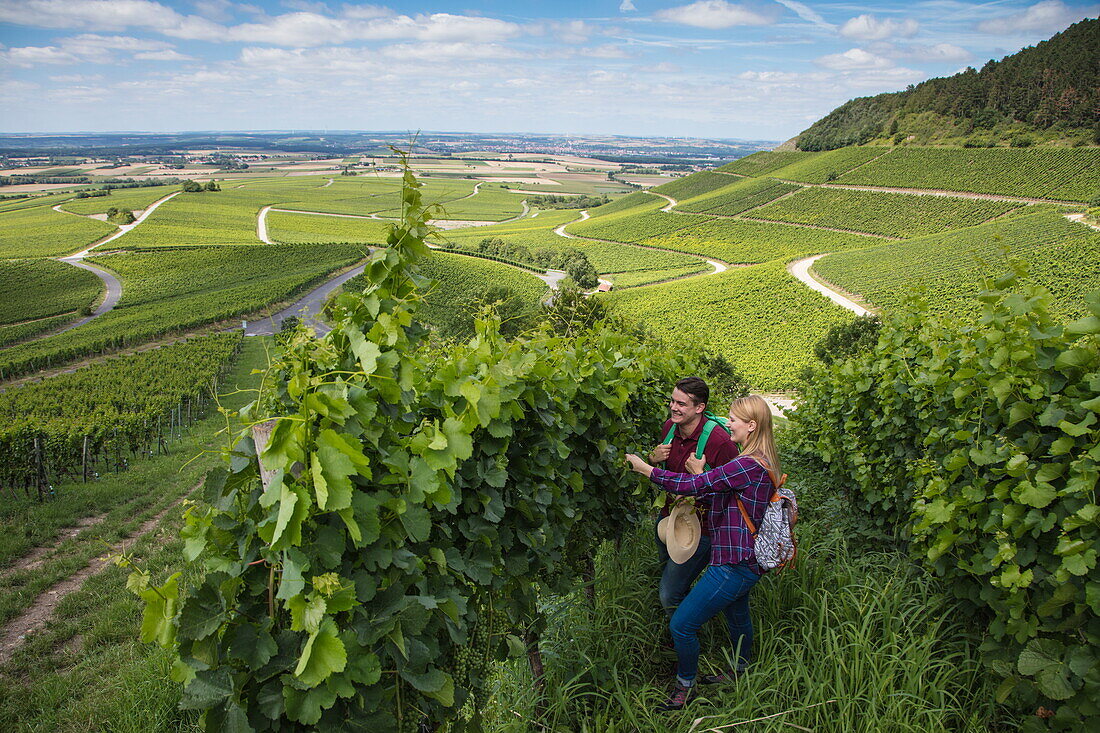 Young couple looks at vines at Iphöfer Julius-Echter-Berg vineyard, Iphofen, Franconia, Bavaria, Germany