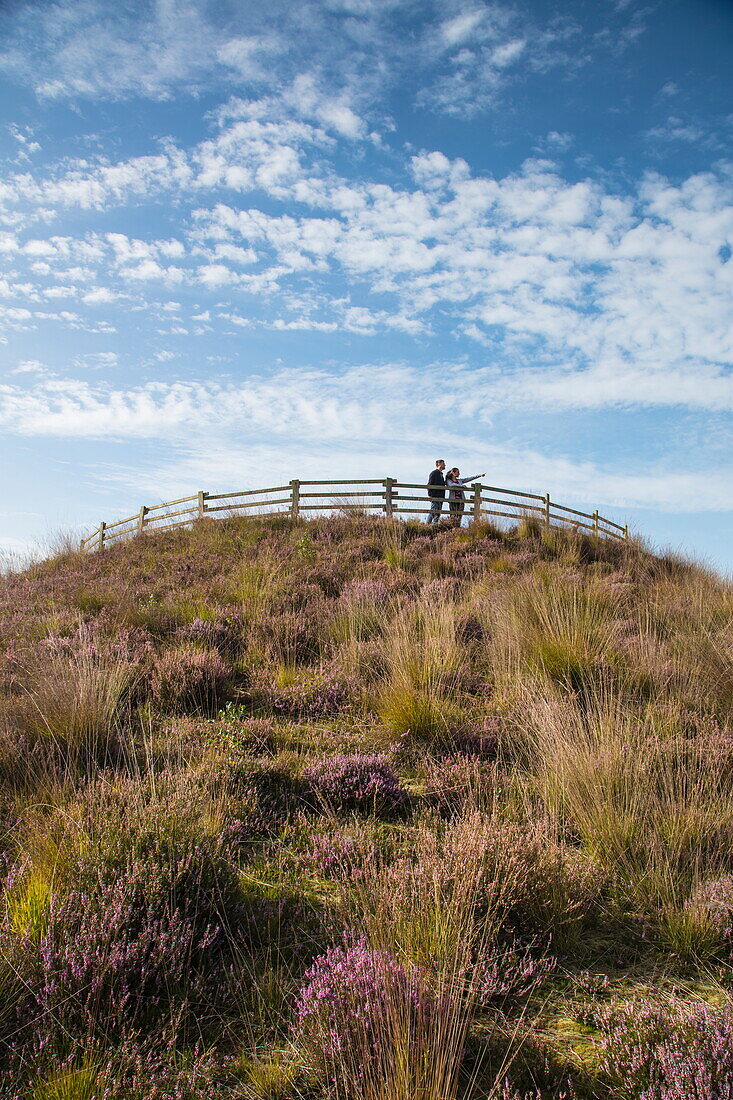 Menschen auf Aussichtshügel mit Blick auf Dalum-Wietmarscher Moor, nahe Twist, Emsland, Niedersachsen, Deutschland, Europa