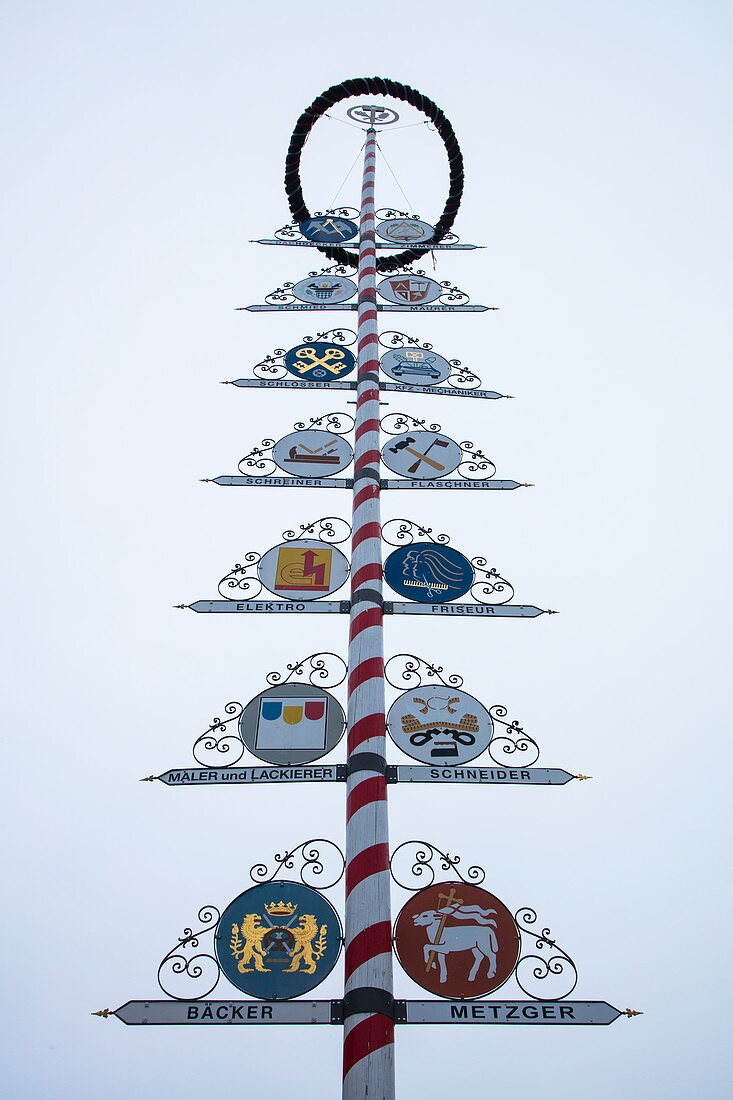 Maibaum may pole with traditional craftmaker emblems in Altstadt old town, Bayreuth, Franconia, Bavaria, Germany