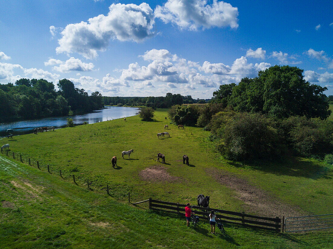 Luftaufnahme von Paar mit Fahrrädern an Zaun und Pferden auf einer Koppel am Ufer der Ems, nahe Haren (Ems), Emsland, Niedersachsen, Deutschland, Europa
