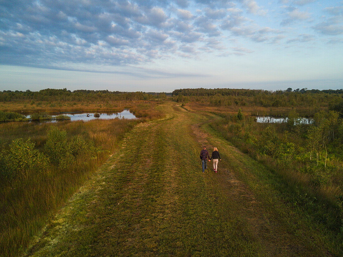 Aerial of couple walking through Bourtanger Moor-Bargerveen International Nature Park at sunrise, near Zwartemeer, Drenthe, Netherlands