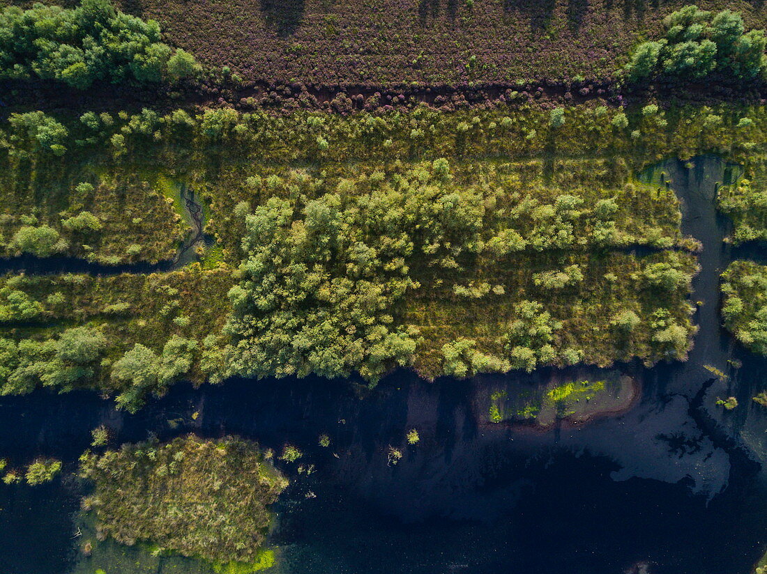 Aerial of lakes and peat bog lands through Bourtanger Moor-Bargerveen International Nature Park, near Zwartemeer, Drenthe, Netherlands