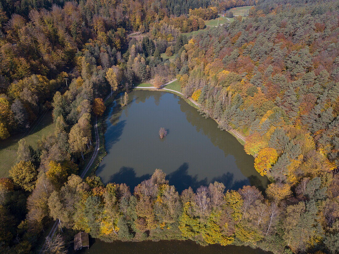 Aerial of Aubachseen lakes and trees with autumn foliage, Habichsthal, Spessart-Mainland, Bavaria, Germany