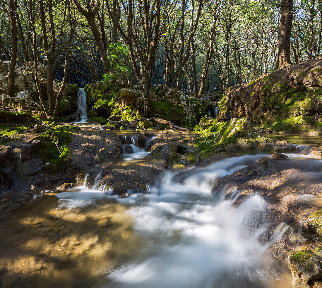 Bunyola, Serra de Tramuntana(UNESCO-Heritage), Mallorca, Balearics, Spain