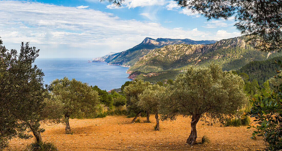 Banyalbufar, Serra de Tramuntana (UNESCO-Heritage), Mallorca, Balearics, Spain