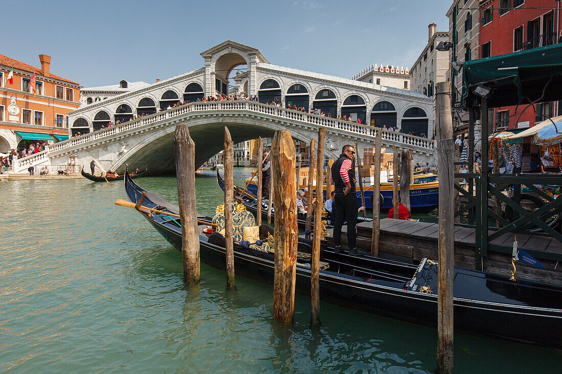 gondolas and gondolier, Ponte di Rialto, Rialto-Brücke, 16.Jhd., Canal Grande, Venezia, Venice, UNESCO World Heritage Site, Veneto, Italy, Europe