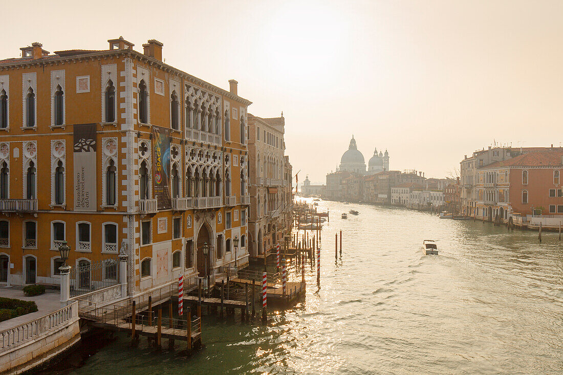 Palazzo Cavalli Francetti and church Santa Maria della Salute with Canal Grande, Venezia, Venice, early morning, UNESCO World Heritage Site, Veneto, Italy, Europe