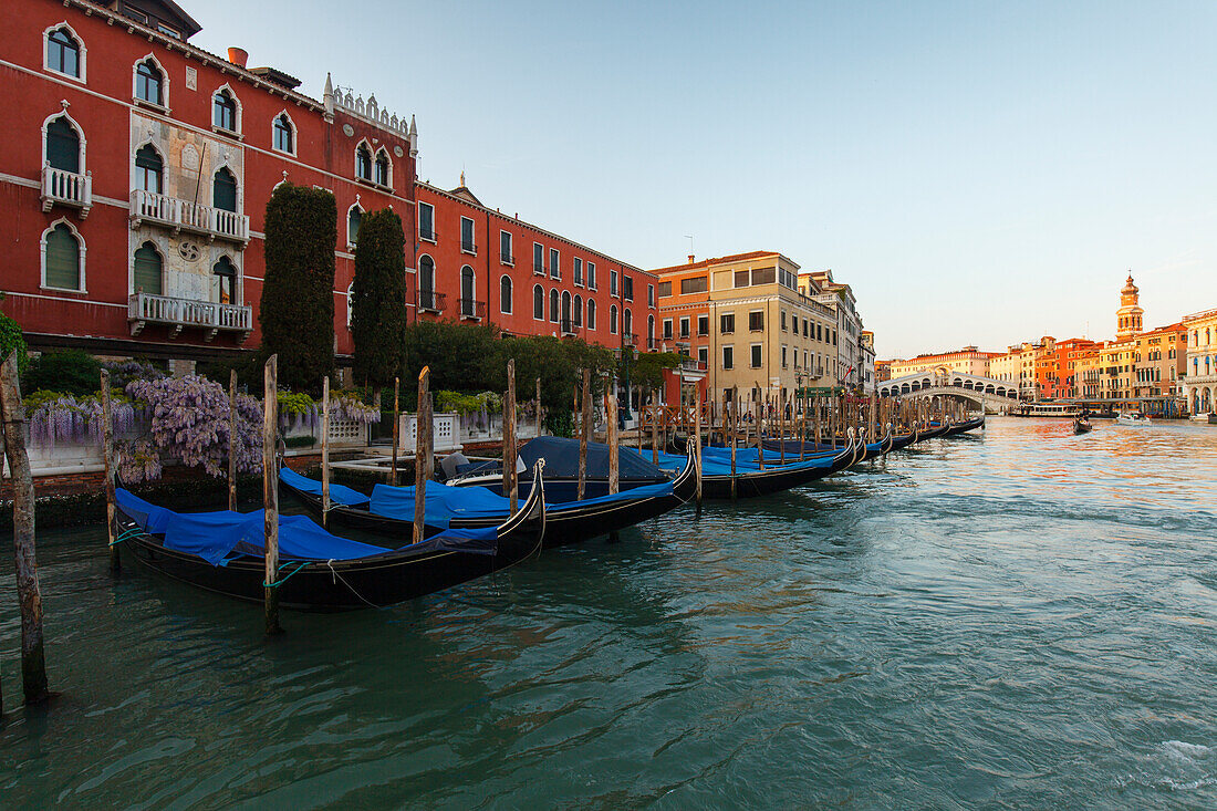 Palaces along the Canal Grande, gondolas, Ponte di Rialto, Rialto bridge, Canal Grande, Venezia, Venice, UNESCO World Heritage Site, Veneto, Italy, Europe