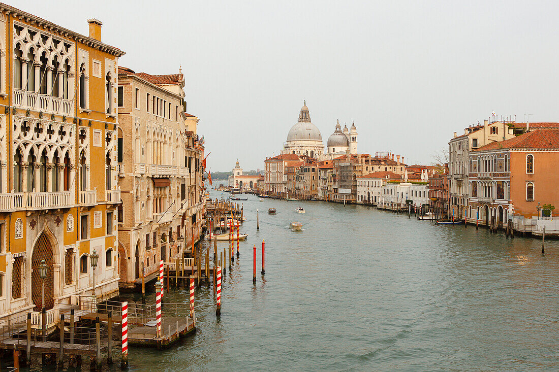 Palazzo Cavalli Francetti and church Santa Maria della Salute with Canal Grande, Venezia, Venice, UNESCO World Heritage Site, Veneto, Italy, Europe