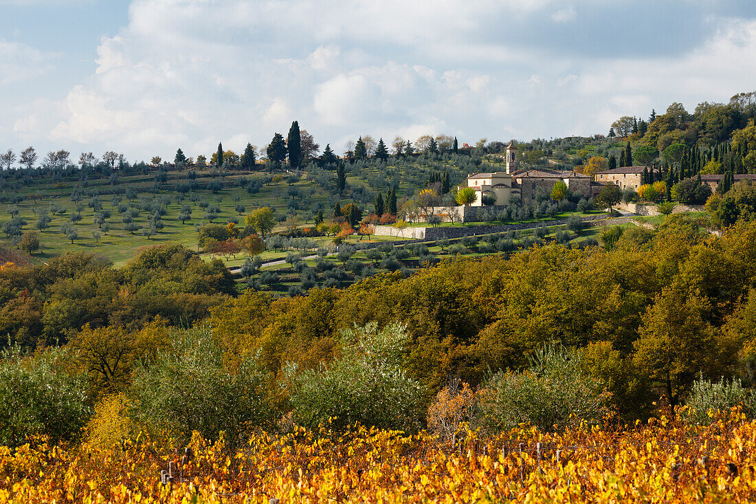 Convento di Santa Maria, monastry, and vineyard near Radda in Chianti, autumn, Chianti, Tuscany, Italy, Europe