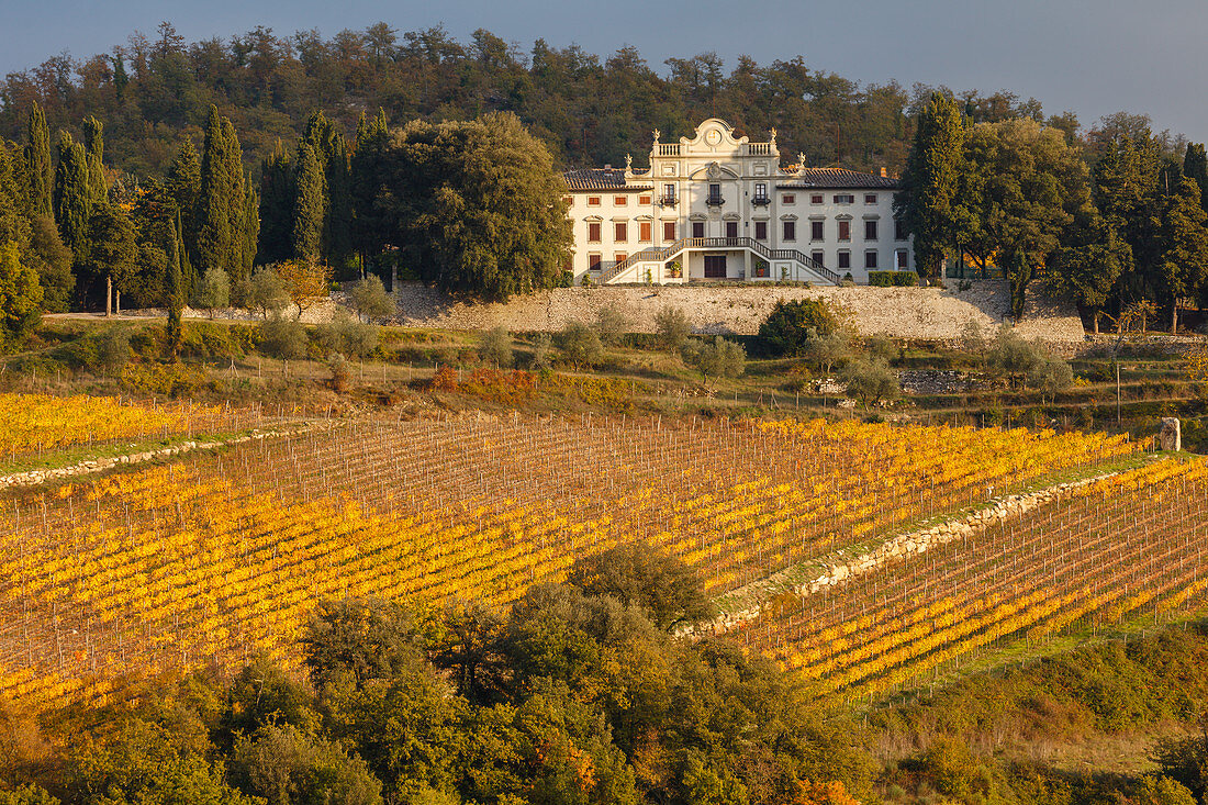 Villa Vistarenni, 17. Jhd., Hotel, Weinberge, bei Radda, Gaiole in Chianti, Herbst, Chianti, Toskana, Italien, Europa