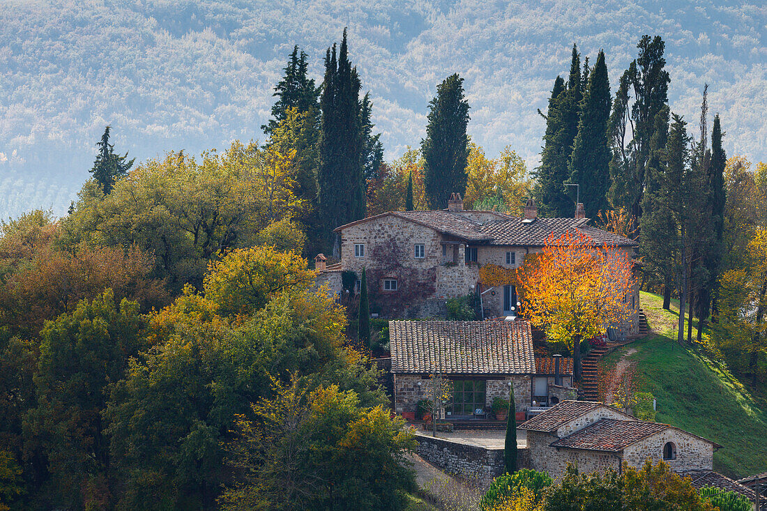cottage with cypresses, near Castellina in Chianti, autumn, Chianti, Tuscany, Italy, Europe