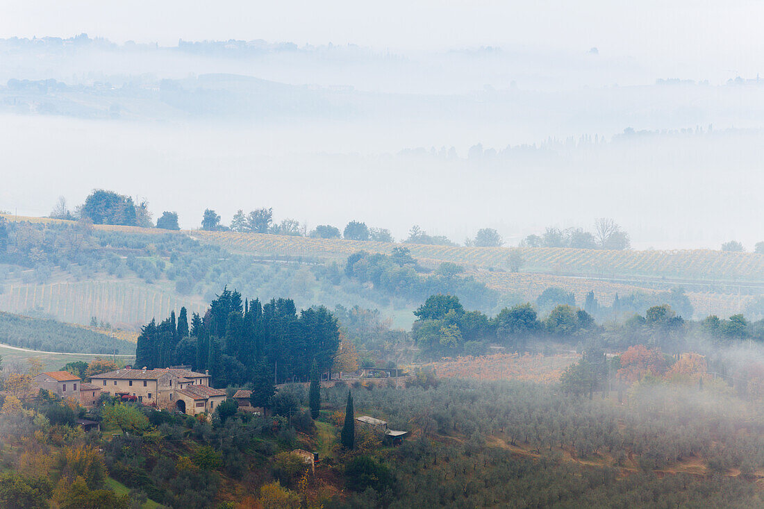 landscape with cottage, cypresses, fog, autumn, near San Gimignano, province of Siena, autumn, Tuscany, Italy, Europe