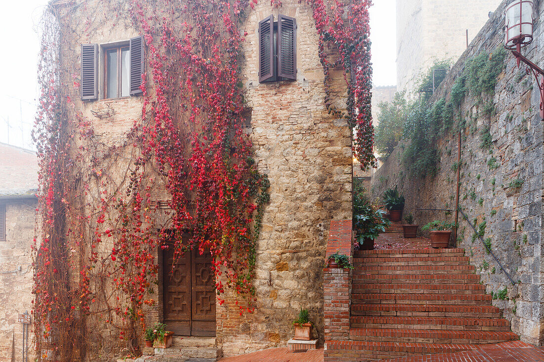 Stadthaus, Gasse, Treppe, Nebel, San Gimignano, UNESCO Weltkulturerbe, Herbst, Provinz Siena, Toskana, Italien, Europa