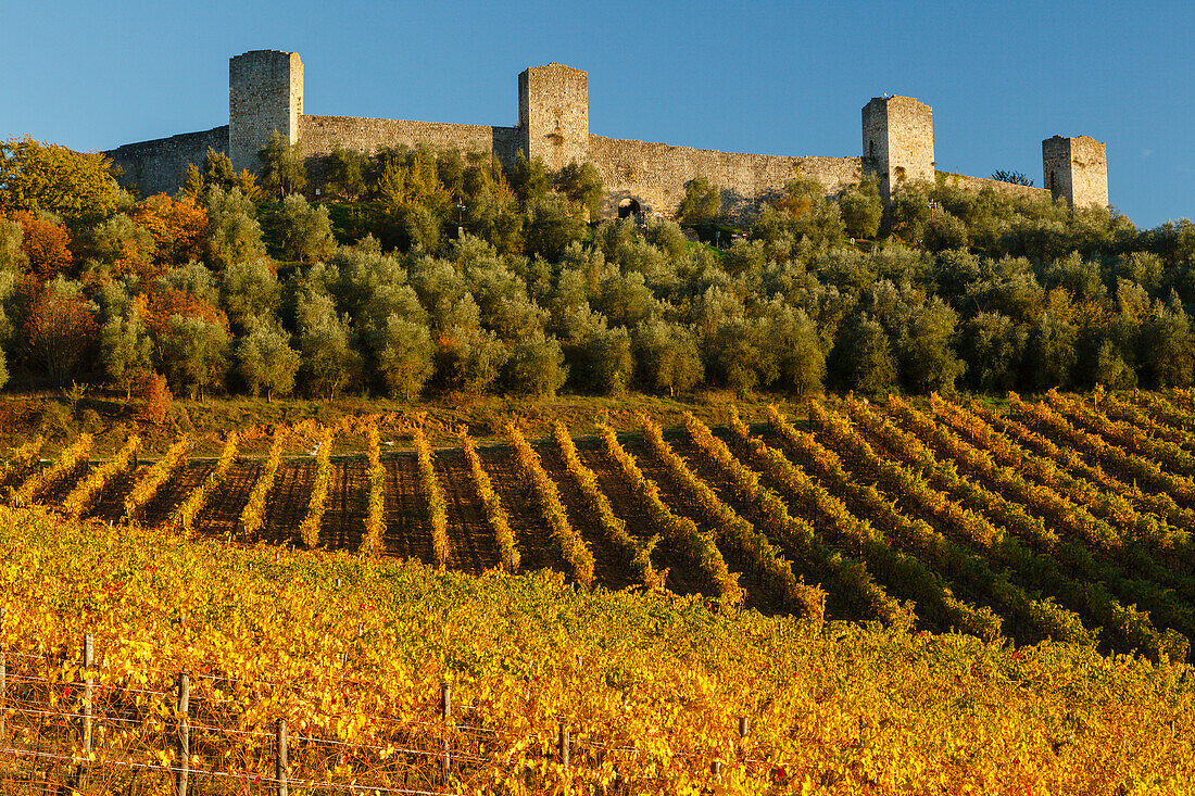 townwall, vineyards, Monteriggioni, Via Francigenia, province of Siena, Tuscany, Italy, Europe