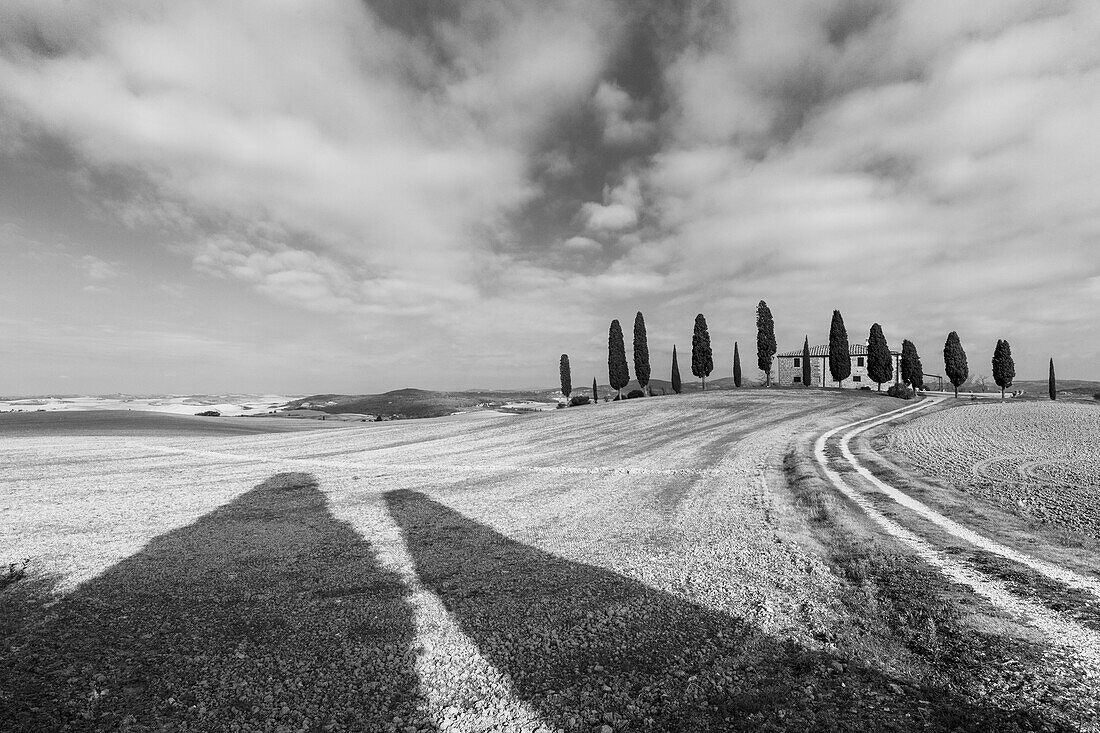 cottage with cypresses, near Pienza, Tuscany, Italy, Europe