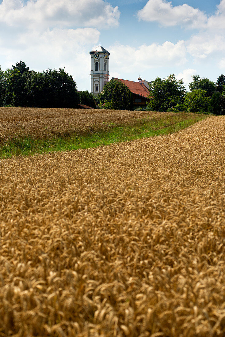 Blick zum Kloster Asbach in Rotthalmünster, Niederbayern