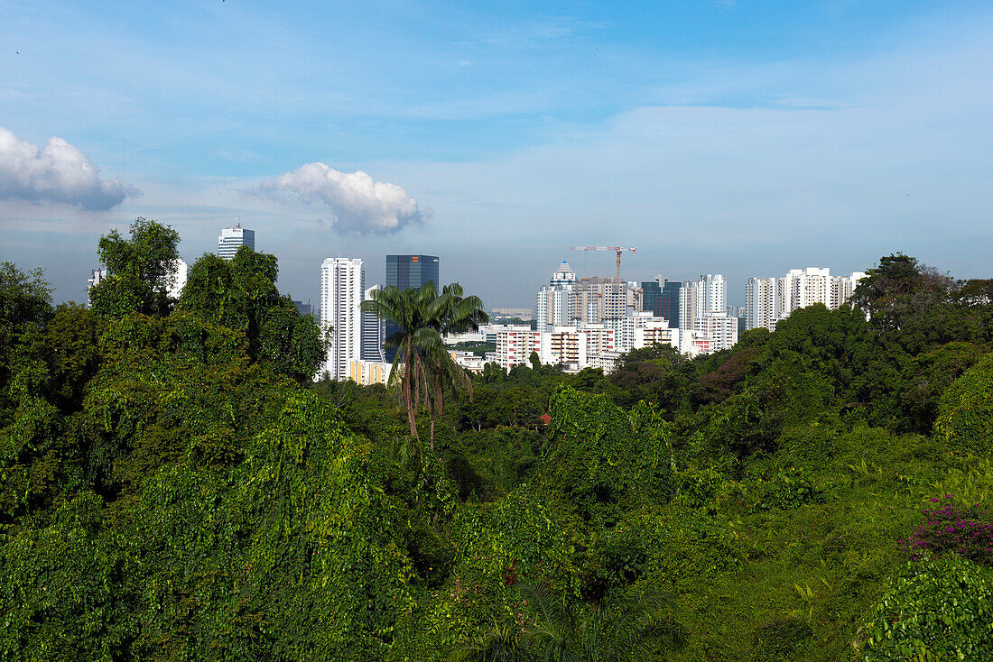 View from the Mt. Faber Park to apartment highrisers in Singapore