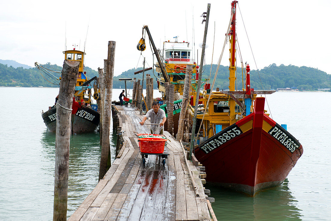 Fish are transported from fishing boats to a fish factory on Pangor Island, Malaysia