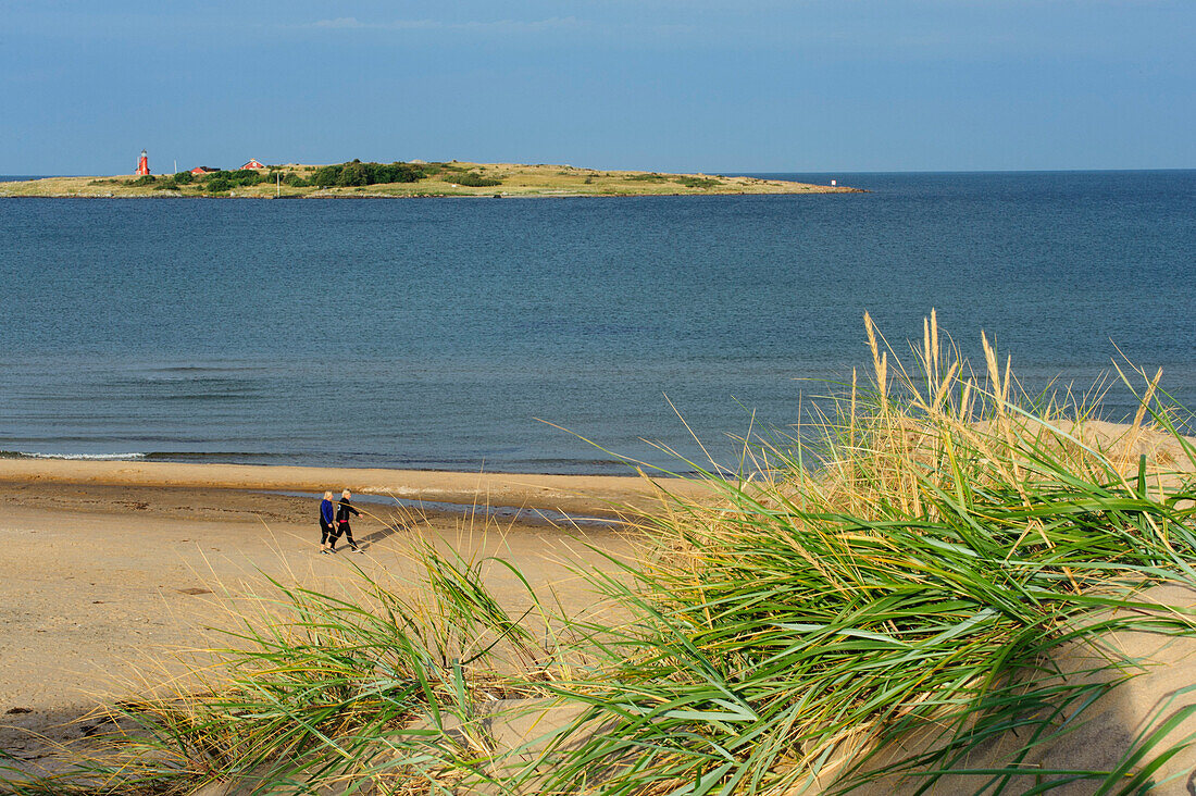 Walkers on the beach at Tyloesand, Sweden