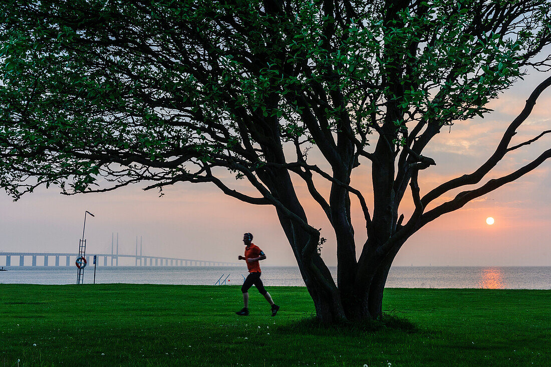 Mann joggt bei Sonnenaufgang, Oresundbrücke, Malmö, Südschweden, Schweden