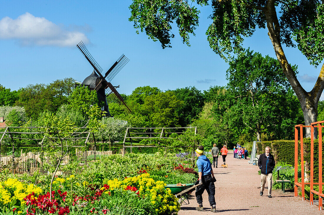 Windmühle im Königspark  Kungsparken mit Blumen und Frau mit Schubkarre, Malmö, Südschweden, Schweden