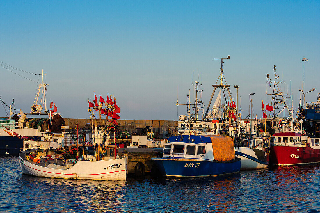 Fischerboote im Abendlicht Hafen von Simrishamn, Skane, Südschweden, Schweden